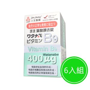 渡邊 維他命B9葉酸膜衣錠 六入組